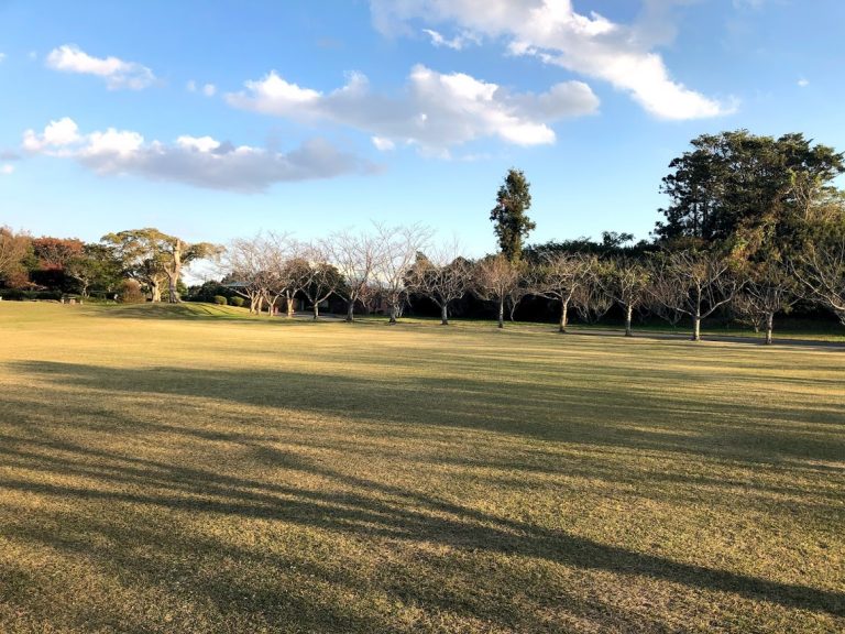 2019東京都選手権ロードレース大会