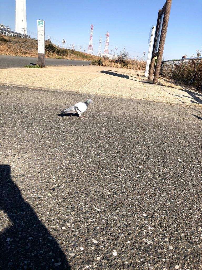 2020走り始め 荒サイ右岸 尾久橋～新砂リバーステーション