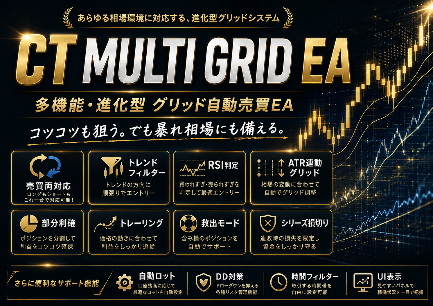 Ctmultigrid title
